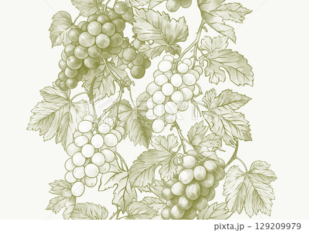 Seamless vector pattern with ripe grape 129209979