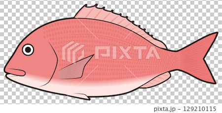 紅鯛魚 紅鯛魚 129210115