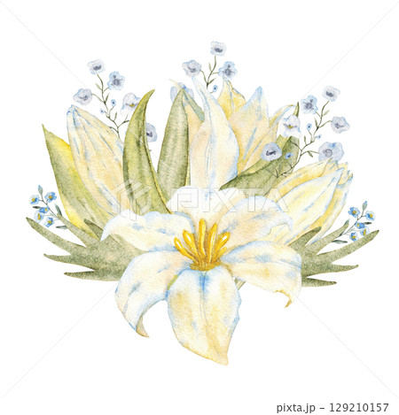 Watercolor composition with white lily, blue flowers and green leaves. For first communion, wedding, baprism, birthday greeting card, invitation. Hand drawn. Isolated 129210157