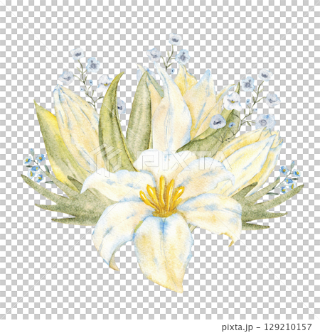 Watercolor composition with white lily, blue flowers and green leaves. For first communion, wedding, baprism, birthday greeting card, invitation. Hand drawn. Isolated 129210157