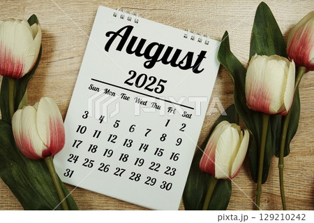 August 2025 annual monthly desk calendar for planning and management 129210242