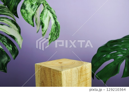 Wooden podium display scene stage showcase front view with copy space and monstera leaves decoration on purple background 129210364