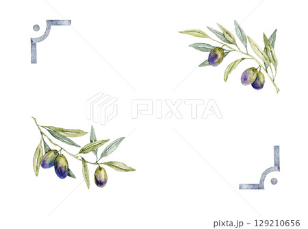 Frame of green olive branches with purple olives. Hand drawn watercolor illustration. Isolated on a white background. For invitations, labels, cards. Template for wedding, first communion, birthday 129210656