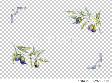 Frame of green olive branches with purple olives. Hand drawn watercolor illustration. Isolated on a white background. For invitations, labels, cards. Template for wedding, first communion, birthday 129210656