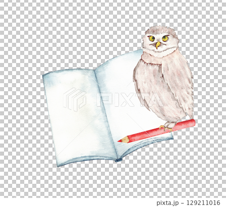 Wise owl with pencil on open book for educational concepts and learning designs. End of course. Back to school. Watercolor illustration for certificate, diploma, invitation, card. Copy space. Isolated 129211016