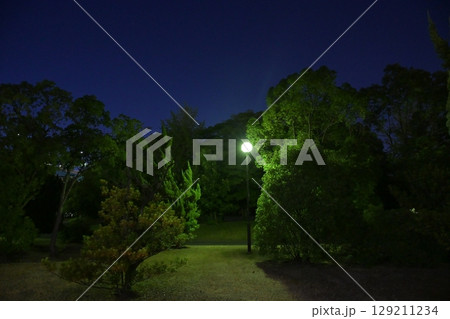 夜の公園と街灯 129211234