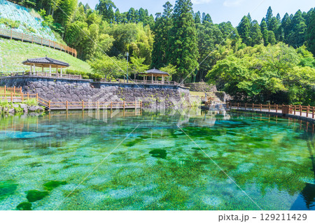 霧島山麓の名水・丸池湧水の透明な湧水池 霧島山麓の名水・丸池湧水の透明な湧水池 129211429