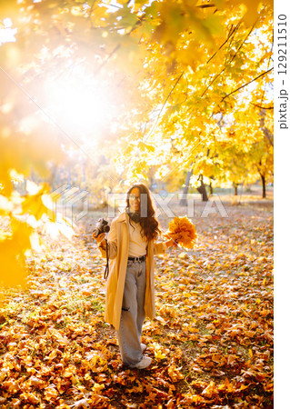 Young woman taking pictures in the autumn forest. Lady Walking In Fall Park With Yellow Foliage. Young woman taking pictures in the autumn forest. Lady Walking In Fall Park With Yellow Foliage. 129211510
