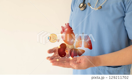 Organ donation and transplantation concept. Doctor hands holding liver, heart, eye, kidney and lung symbol. Health care and medical. Organ donation and transplantation concept. Doctor hands holding liver, heart, eye, kidney and lung symbol. Health care and medical. 129211702