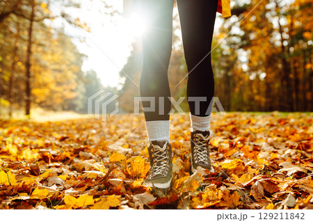 Female legs in boots walking through fallen trees in autumn park. Nature, travel concept. 129211842