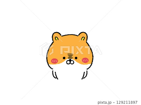 腹黒そうな表情のゆる可愛いハムスター 腹黒そうな表情のゆる可愛いハムスター 129211897