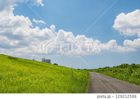 夏の淀川風景 堤防下の遊歩道 河川敷の緑地 大阪府枚方市 夏の淀川風景 堤防下の遊歩道 河川敷の緑地 大阪府枚方市 129212588