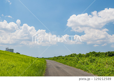 夏の淀川風景 堤防下の遊歩道 河川敷の緑地 大阪府枚方市 夏の淀川風景 堤防下の遊歩道 河川敷の緑地 大阪府枚方市 129212589