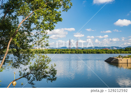 夏の淀川風景　大阪府枚方市 129212592