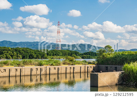 夏の淀川風景　大阪府枚方市 129212595