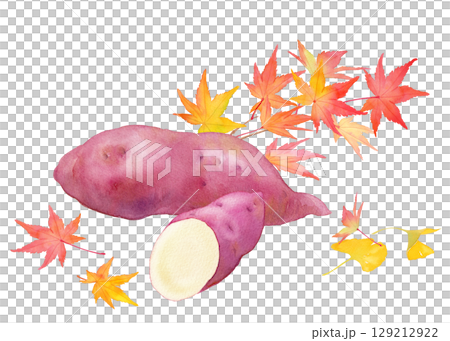 秋の味覚：サツマイモと紅葉の組み合わせ。水彩イラスト。 129212922