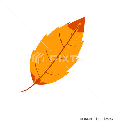 Withered autumn motley leaf. Fallen leaf with variegated texture Withered autumn motley leaf. Fallen leaf with variegated texture 129212963