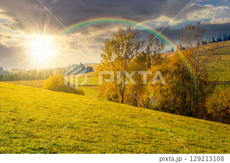 mountain landscape with forest in autumn at sunset. beautiful countryside in the highland. grove on the hill in colorful foliage under sky in evening light. nature background for outdoor adventure 129213108