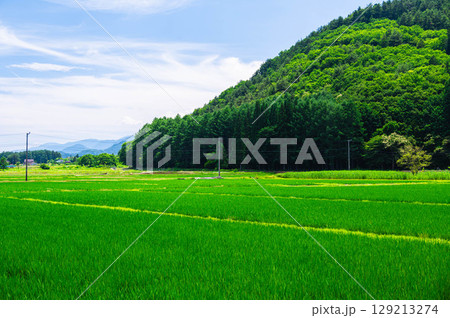木崎湖周辺の夏の田園風景　大町市 129213274