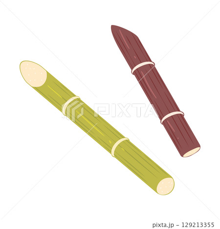 サトウキビのイラスト サトウキビのイラスト 129213355