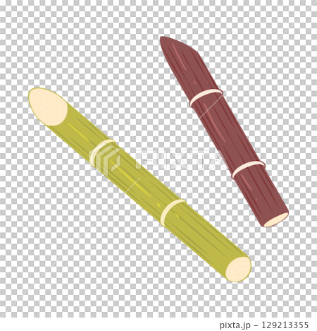 サトウキビのイラスト サトウキビのイラスト 129213355
