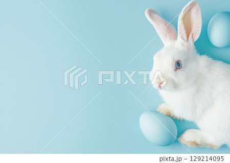 Adorable white rabbit with blue eggs on soft pastel background, AI Generative 129214095