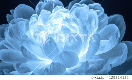 Glowing translucent flower blooming in darkness with soft petals and luminescent glow, AI Generative 129214122