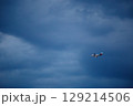 A passenger plane approaches Pula Airport for landing 129214506