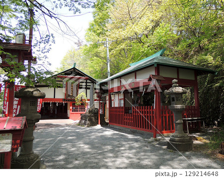 鼻顔稲荷神社 129214648