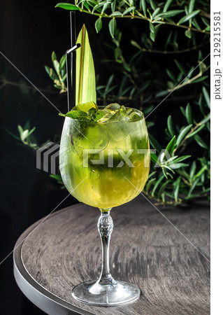 Refreshing green cocktail with mint leaves and tropical garnish in a chilled goblet. copy space 129215581