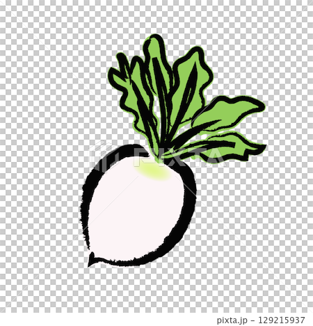 Shogoin radish icons, logos, and illustrations drawn with a brush 129215937