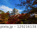 紅葉に囲まれた郡上八幡城 129216138