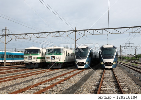 185系、E261系電車 129216184