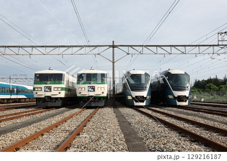 185系、E261系電車 129216187