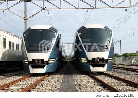 185系、E261系電車 129216199
