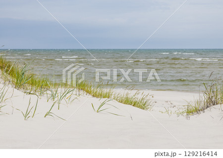 White sand dunes and gentle waves of Baltic Sea coastline 129216414