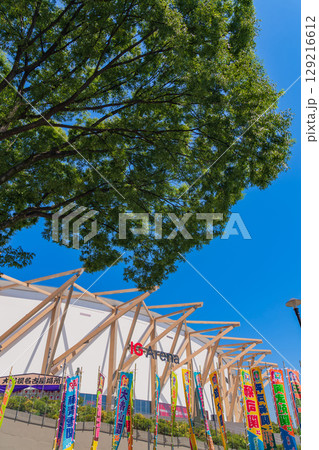 夏のIGアリーナ、こけら落としの大相撲名古屋場所〈愛知県名古屋市〉 129216612