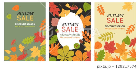Autumn foliage sale cards. Season discount banners, fall color leaves, advertising templates, forest chestnut, maple pattern, ginkgo orange background, splendid vector cartoon isolated set Autumn foliage sale cards. Season discount banners, fall color leaves, advertising templates, forest chestnut, maple pattern, ginkgo orange background, splendid vector cartoon isolated set 129217374