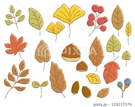手描きテイストな秋の葉っぱや木の実のイラストセット(カラー、秋色01) 手描きテイストな秋の葉っぱや木の実のイラストセット(カラー、秋色01) 129217379