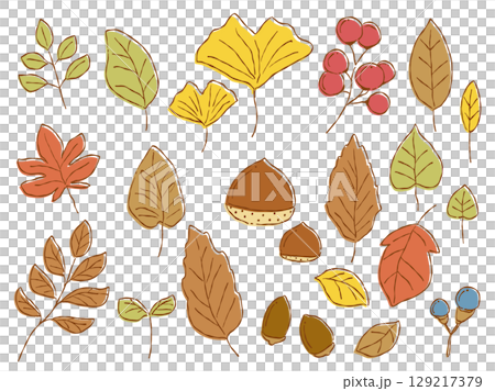 手描きテイストな秋の葉っぱや木の実のイラストセット(カラー、秋色01) 手描きテイストな秋の葉っぱや木の実のイラストセット(カラー、秋色01) 129217379
