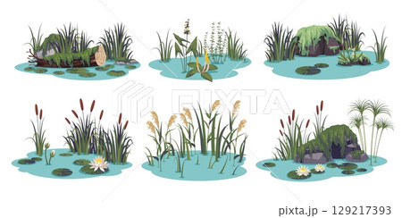Ponds compositions. Aquatic plants, pieces of swamps, lake or river flora, wild water botany, summer landscape moss, cattails, reeds and lilies, tidy vector cartoon flat isolated set Ponds compositions. Aquatic plants, pieces of swamps, lake or river flora, wild water botany, summer landscape moss, cattails, reeds and lilies, tidy vector cartoon flat isolated set 129217393