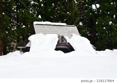 屋根まで積もった雪（新潟県） 129217664