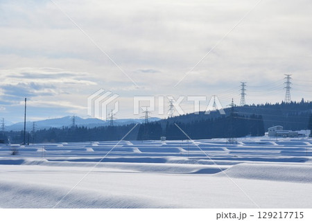 冬の田園風景(新潟県) 冬の田園風景(新潟県) 129217715