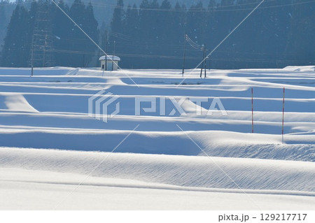 冬の田園風景(新潟県) 冬の田園風景(新潟県) 129217717