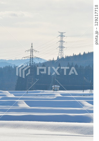 冬の田園風景（新潟県） 129217718
