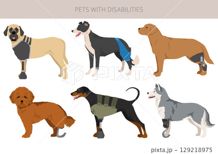 Disabled dog clipart. Prosthesis dogs 129218975