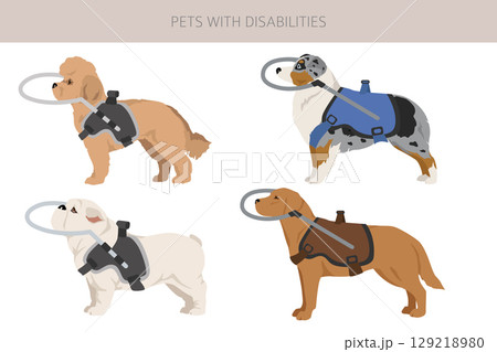 Disabled dog clipart. Blind dogs 129218980