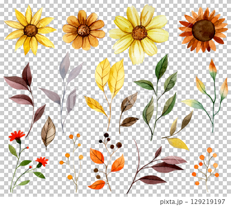 Watercolor set of autumn flowers and leaves, yellow and orange 129219197
