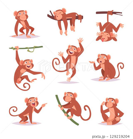 Monkey. Little funny animals wild monkey playing exact vector cartoon template 129219204