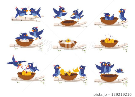 Birds family. Mother bird feeding little chicks exact vector wild freedom birds illustration 129219210